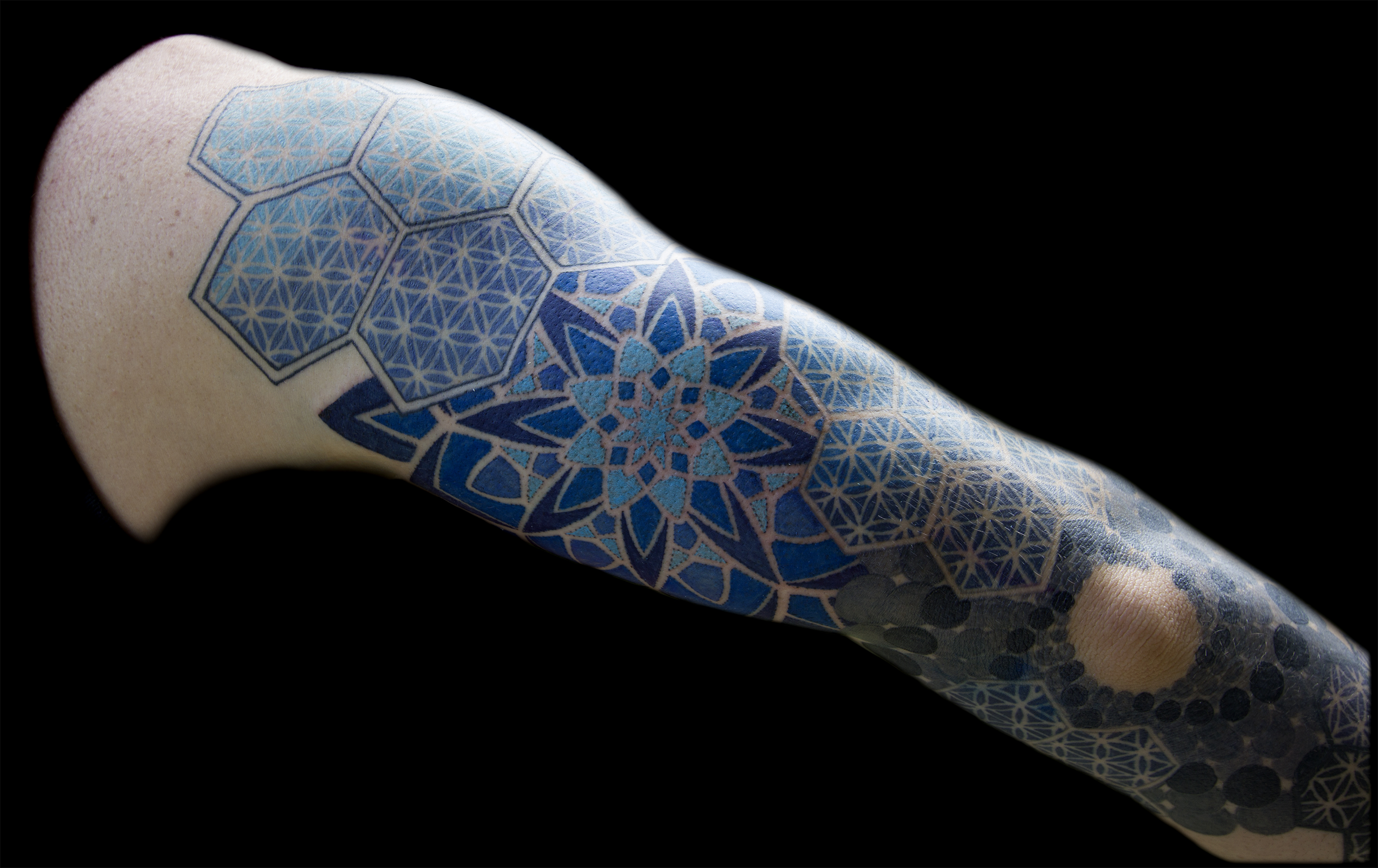 Kyle Tricep for Web small